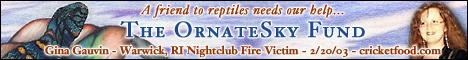 CLICK HERE TO RETURN TO THE HOME PAGE